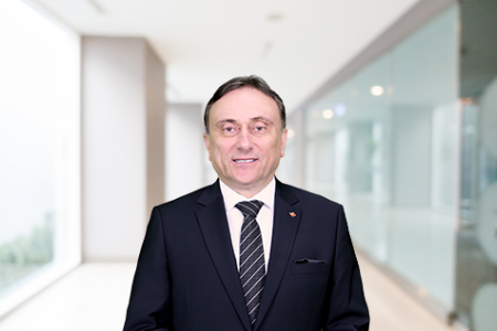 Prof. Dr. Ali Halıcı